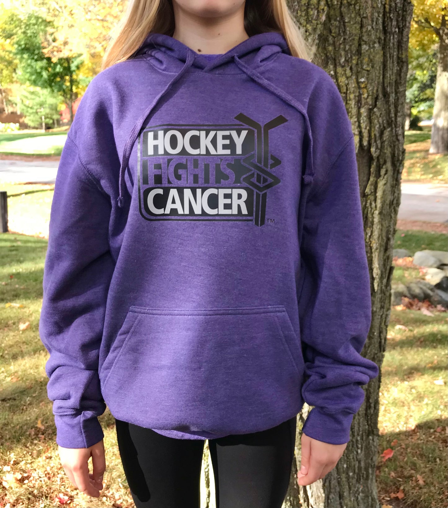 High quality Adult sizes Purple Hoodies Hockey fights Cancer